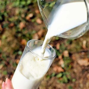 Formate en Recepción, Almacenamiento y Tratamientos Previos de la Leche