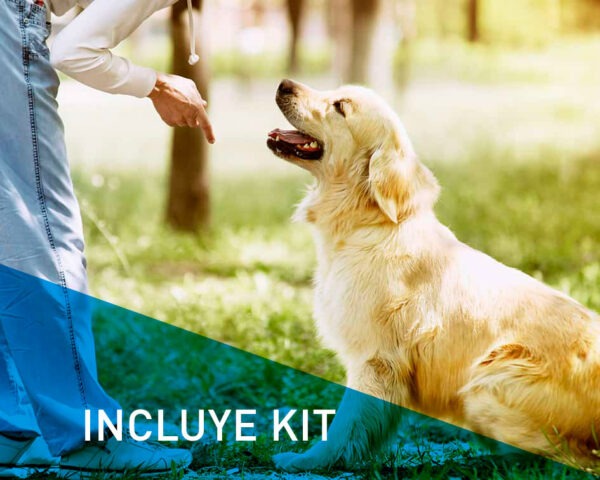 Máster Técnicas de Adiestramiento Canino con Kit inlcuido