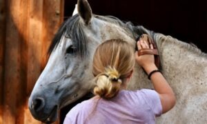 Conoce al cuidador de caballos y cómo ser uno de ellos