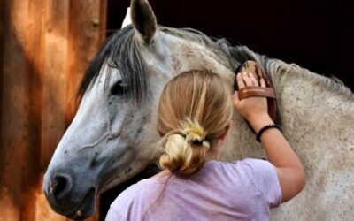 Cómo ser cuidador de caballos: Todo lo que debes saber