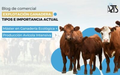Explotación ganadera: qué es, tipos y cómo entender su importancia hoy