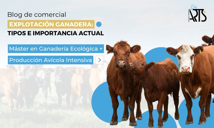Conoce la explotación ganadera y su importancia