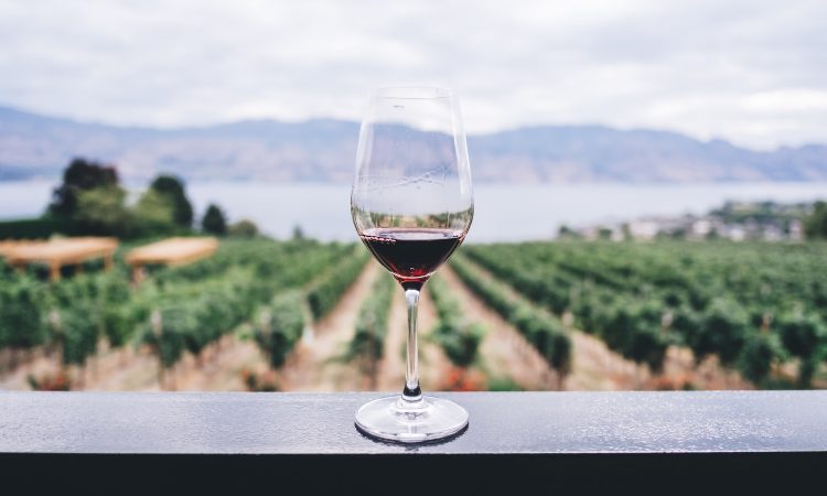 Conoce qué factores influyen en la calidad del vino