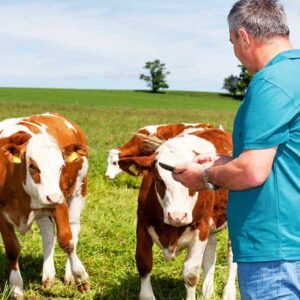 Máster en Perido Judicial en Control Sanitario y Ganadería Ecológica