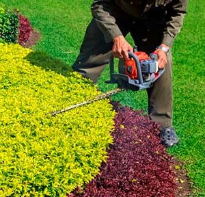 Máster en Jardinería, parques y zonas verdes