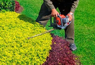 Máster en Jardinería, parques y zonas verdes