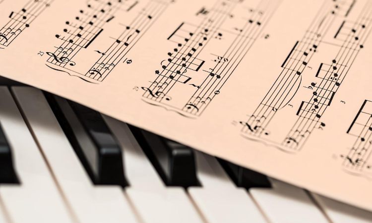 Descubre la organología y su importancia en el mundo de la música