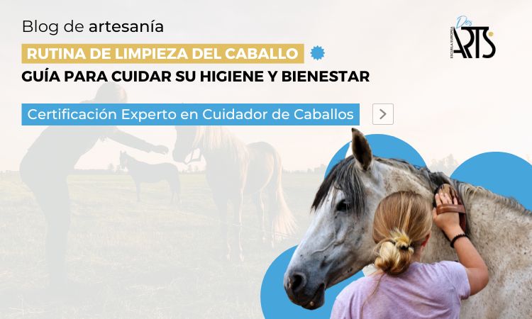 Descubre la rutina de limpieza del caballo y la guía para su bienestar