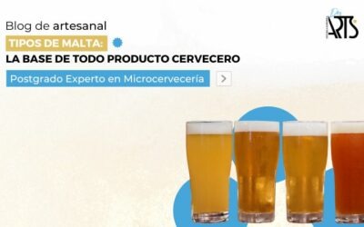 Tipos de malta: la base de todo gran producto cervecero