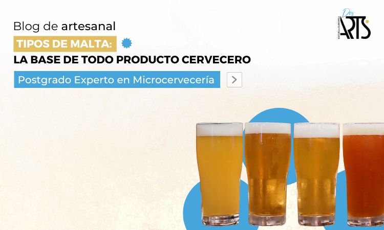 Tipos de malta: la base de todo gran producto cervecero