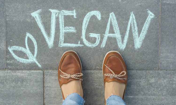 Descubre los zapatos veganos y sus características